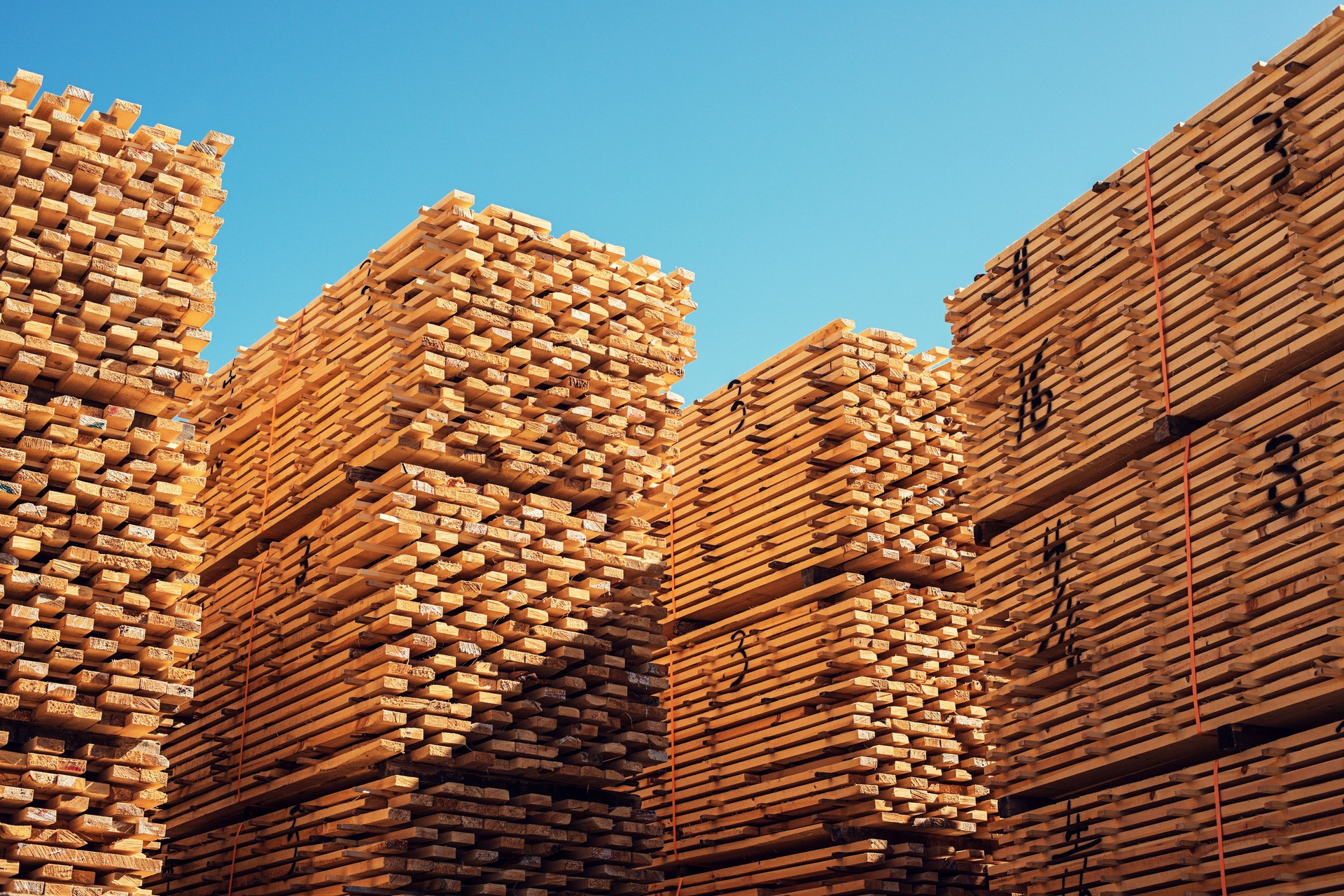 Lumber Yard